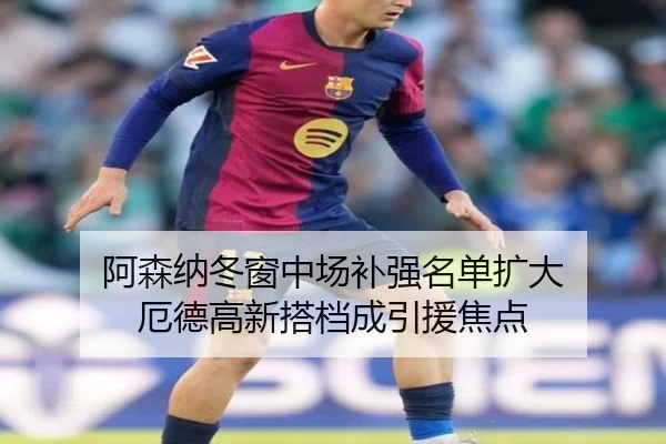 阿森纳冬窗中场补强名单扩大 厄德高新搭档成引援焦点